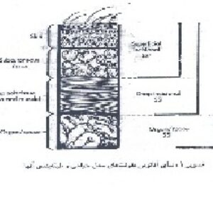 پاورپوینت درباره آشنايی با تعاريف چهار عفونت اصلی