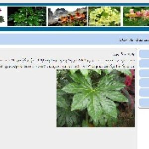قالب html  زیبا