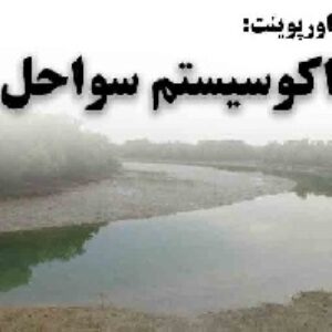 دانلود پاورپوینت اکوسیستم سواحل