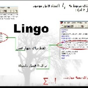 آموزش نرم افزار لینگو Lingo با حل یک مثال کاربردی تحقیق در عملیات در فایل پاور پوینت