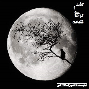 گفت و گو های شبانه