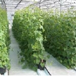 جدول هزينه تاسيسات و سازه طرح تاسيس گلخانه
