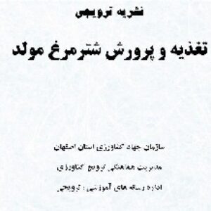 آموزش تغذیه و پرورش شتر مرغ مولد