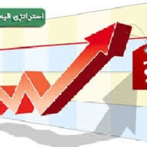 پاورپوینت درباره استراتژیهای قیمت گذاری