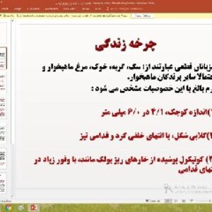 پاورپوینت درباره بیماری متاگونیموس یوکوگاوایی