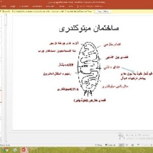 پاورپوینت درباره چرخه کربس