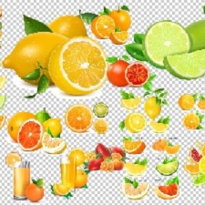 15 طرح میوه تابستانی با پسوند PNG