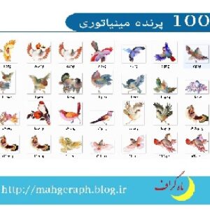 100 پرنده مینیاتوری