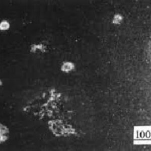 تحقیق انواع خوردگی و حفاظت