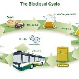 بیودیزل ( Biodiesel )