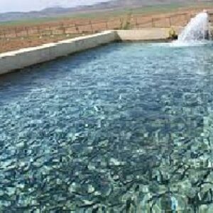 آبزی پروری سردابی