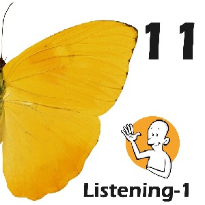 Listening Words 1-11