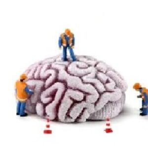 پاورپوینت نورومارکتینگ ( بازاریابی عصب پایه )