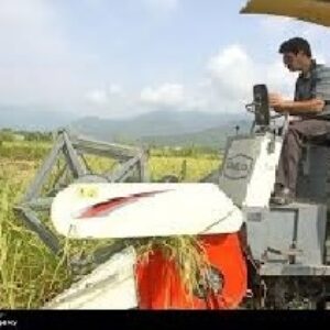 پروژه درسی: بررسی چالشهای مکانیزاسیون وخودکفایی گیاه برنج دراستان گیلان