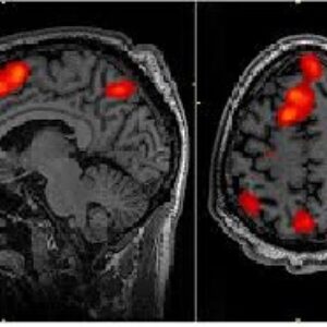 دانلود جزوه FMRI