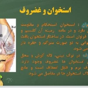 علوم پایه هشتم / پاورپوینت فصل  پنجم/ حس و حرکت