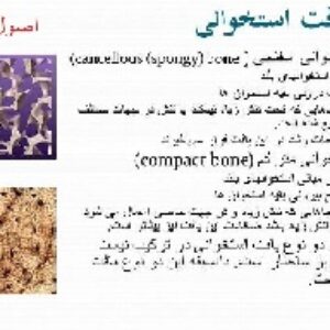 جزوه اصول توانبخشی و دستگاه ها