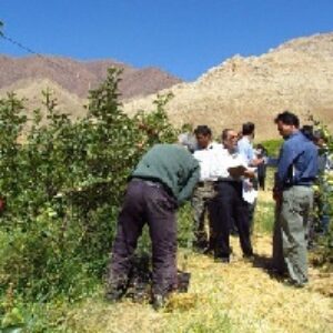 پاورپوینت آشنایی با اصول ترویج و آموزش کشاورزی