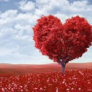 فرق بین عشق و هوس چیست؟