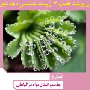 پاورپوینت فصل 7 زیست شناسی دهم تجربی ( جذب و انتقال مواد در گیاهان )