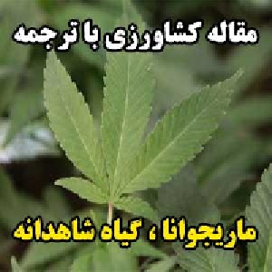 مقاله کشاورزی با ترجمه: ماریجوانا ، حشیش آمریکایی (گیاه شاهدانه)