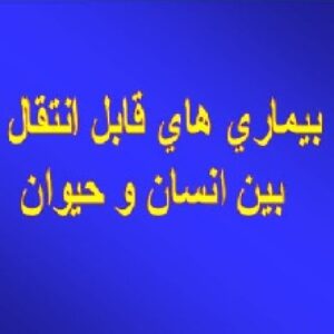 باوربوینت درمورد تب مالت