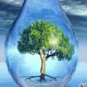 تحقیق  درباره اهميت آب