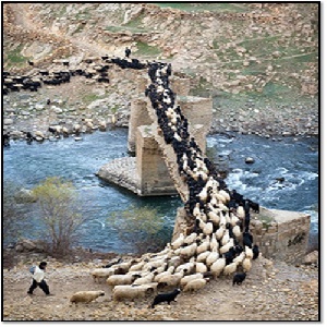 دانلود پروژه بررسی ابنیه روستای پالنگان کردستان(نوع فایل:ppt)