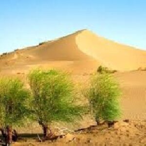 تحقیق  درباره بيابان زدايي
