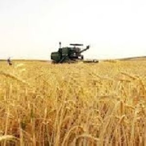 دانلود پروژه زراعت و غلات