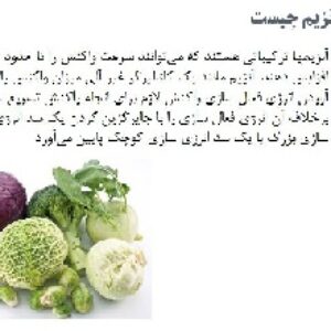 باوربوینت درمورد آنزیم بری و بلانچینگ