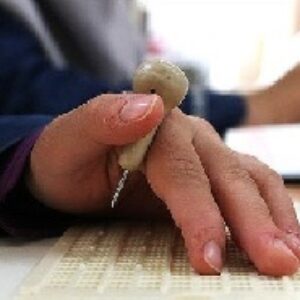 مقاله انگلیسی نحوه آموزش کودکان نابینا در سوئد به همراه ترجمه