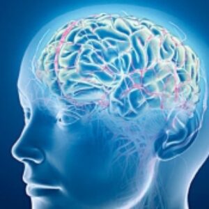 پاورپوینت درباره آسیبهای عروقی مغز