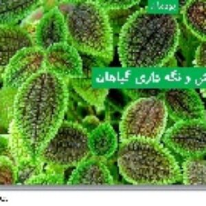 پاورپوینت پودمان پرورش و نگه داری گیاهان کار و فناوری هفتم