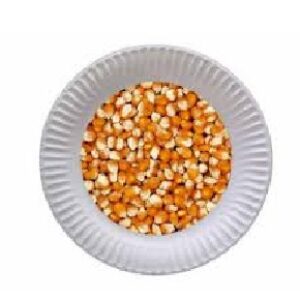 تحقیق  درباره دانه ذرت  جهت تغذيه دام , طيور و آبزيان