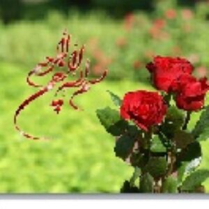 پاورپوینت فصل دوم بخش سوم اقتصاد علوم انسانی دهم