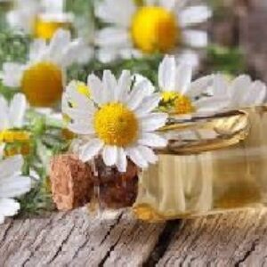 دانلود پاورپوینت گياه بابونه و خواص دارويي آن