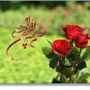 پاورپوینت درس نهم جامعه شناسی (1) پایه دهم