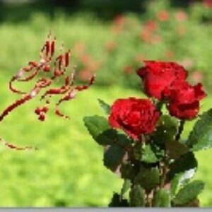 پاورپوینت پودمان شهروند الکترونیکی 2 کار و فناوری هشتم