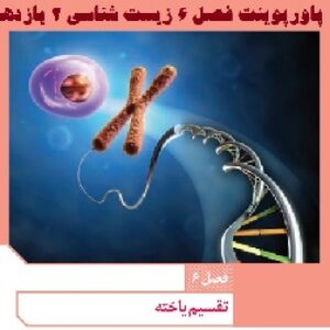 پاورپوینت گفتار 1 فصل ششم زیست شناسی پایه یازدهم تجربی (گفتار1 کروموزوم)