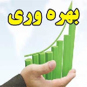 بهره وری