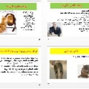 پاورپوينت رشته های  مديريت با عنوان بازار شناسی  و مسائل بازار