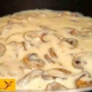 پاورپوینت در مورد قارچها و ویژگیهای آنها-Ascomycotina