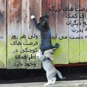 حس نوع دوستی و کمک به دیگران