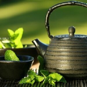 دانلود پروژه روش های استخراج مواد موثره گیاهان