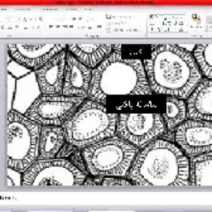پاورپوینت   زیست دهم تجربی   فصل ششم  گفتار دوم   (سامانه بافتی)