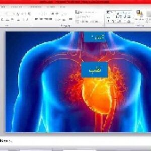 پاورپوینت   زیست شناسی  دهم تجربی    فصل چهارم         گفتار یکم         (  قلب     )