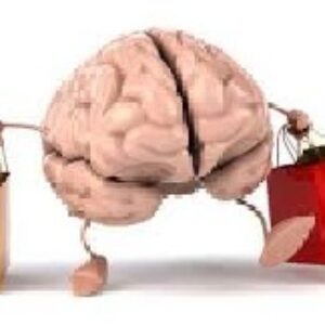 مدل یادگیری ترکیبی(روش نوین یاددهی-یادگیری)-مقاله آموزشی  قابل ویرایش