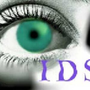 دانلود مقاله IDS  سیستم آشكاركننده متجاوز شبکه