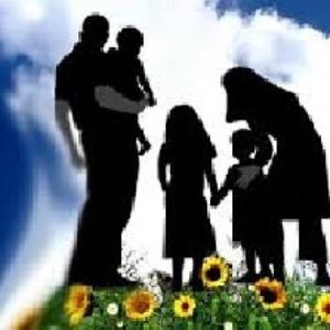 نظرگاه‌های فمینیستی درباره‌ی تولید مثل و خانواده